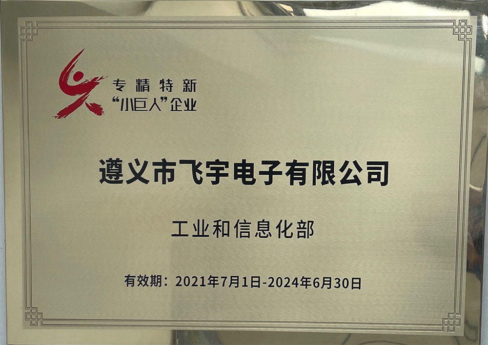 國(guó)家--003-2021專(zhuān)精特新小巨人企業(yè)